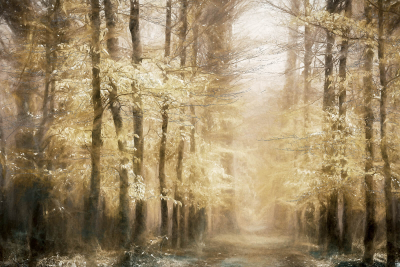 其他.哈苏大师获奖作品集.2016.Lars van de Goor.个人作品集.Fine_Art的摄影作品-Lars van de Goor_摄影师陈阳 7