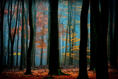 其他.哈苏大师获奖作品集.2016.Lars van de Goor.个人作品集.Fine_Art的摄影作品-Lars van de Goor_摄影师陈阳 8