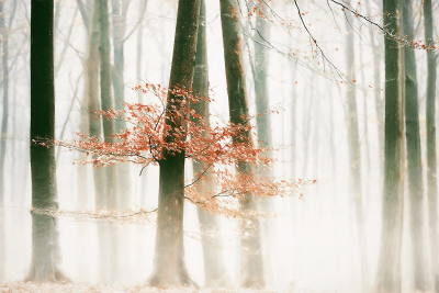 其他.哈苏大师获奖作品集.2016.Lars van de Goor.个人作品集.Fine_Art的摄影作品-Lars van de Goor_摄影师陈阳 10