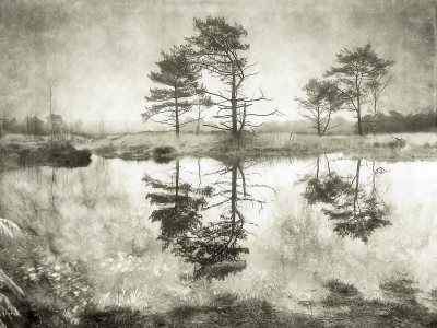 其他.哈苏大师获奖作品集.2016.Lars van de Goor.个人作品集.Larsochrome的摄影作品-Lars van de Goor_摄影师陈阳 3