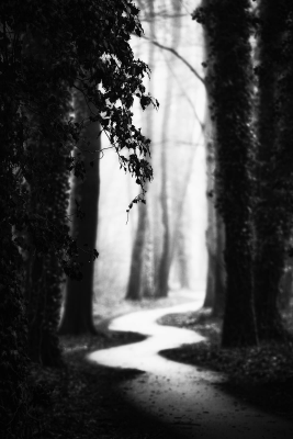 其他.哈苏大师获奖作品集.2016.Lars van de Goor.个人作品集.Larsochrome的摄影作品-Lars van de Goor_摄影师陈阳 6