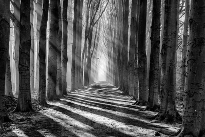 其他.哈苏大师获奖作品集.2016.Lars van de Goor.个人作品集.Larsochrome的摄影作品-Lars van de Goor_摄影师陈阳 7