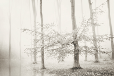其他.哈苏大师获奖作品集.2016.Lars van de Goor.个人作品集.Larsochrome的摄影作品-Lars van de Goor_摄影师陈阳 8