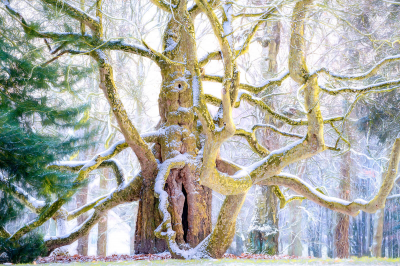 其他.哈苏大师获奖作品集.2016.Lars van de Goor.个人作品集.Latest_Arrivals的摄影作品-Lars van de Goor_摄影师陈阳 3