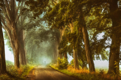 其他.哈苏大师获奖作品集.2016.Lars van de Goor.个人作品集.Like_a_painting的摄影作品-Lars van de Goor_摄影师陈阳 1