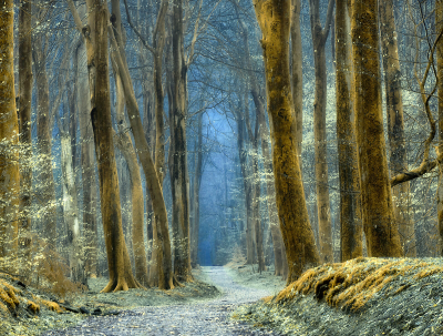 其他.哈苏大师获奖作品集.2016.Lars van de Goor.个人作品集.Like_a_painting的摄影作品-Lars van de Goor_摄影师陈阳 3
