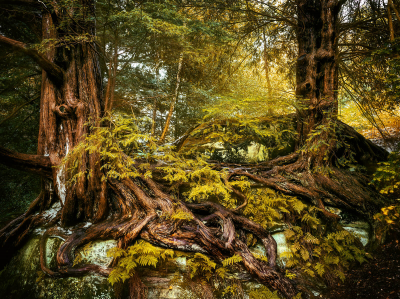其他.哈苏大师获奖作品集.2016.Lars van de Goor.个人作品集.Like_a_painting的摄影作品-Lars van de Goor_摄影师陈阳 5