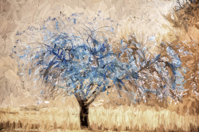 其他.哈苏大师获奖作品集.2016.Lars van de Goor.个人作品集.Pictures_as_paintings的摄影作品-Lars van de Goor_摄影师陈阳 2