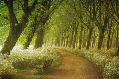 其他.哈苏大师获奖作品集.2016.Lars van de Goor.个人作品集.Pictures_as_paintings的摄影作品-Lars van de Goor_摄影师陈阳 3