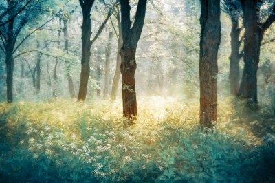 其他.哈苏大师获奖作品集.2016.Lars van de Goor.个人作品集.Pictures_as_paintings的摄影作品-Lars van de Goor_摄影师陈阳 5