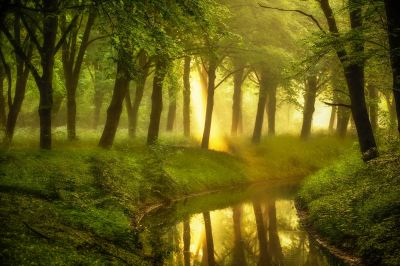 其他.哈苏大师获奖作品集.2016.Lars van de Goor.个人作品集.Rays_of_Light的摄影作品-Lars van de Goor_摄影师陈阳 1