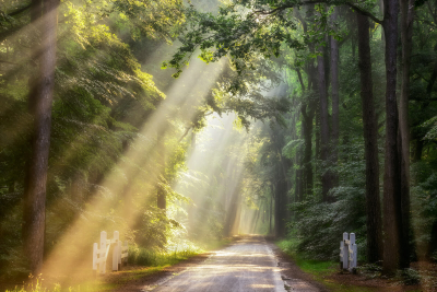 其他.哈苏大师获奖作品集.2016.Lars van de Goor.个人作品集.Rays_of_Light的摄影作品-Lars van de Goor_摄影师陈阳 2