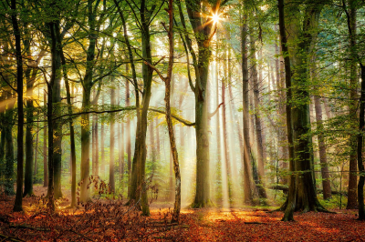 其他.哈苏大师获奖作品集.2016.Lars van de Goor.个人作品集.Rays_of_Light的摄影作品-Lars van de Goor_摄影师陈阳 7