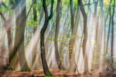 其他.哈苏大师获奖作品集.2016.Lars van de Goor.个人作品集.Rays_of_Light的摄影作品-Lars van de Goor_摄影师陈阳 8