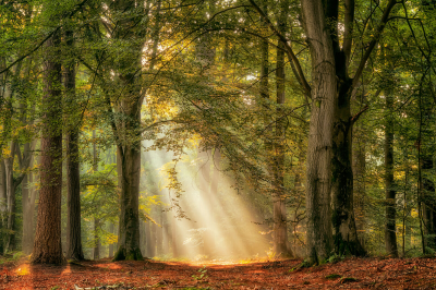其他.哈苏大师获奖作品集.2016.Lars van de Goor.个人作品集.Rays_of_Light的摄影作品-Lars van de Goor_摄影师陈阳 9