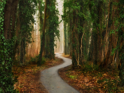 其他.哈苏大师获奖作品集.2016.Lars van de Goor.个人作品集.Roads_to_Roam的摄影作品-Lars van de Goor_摄影师陈阳 1