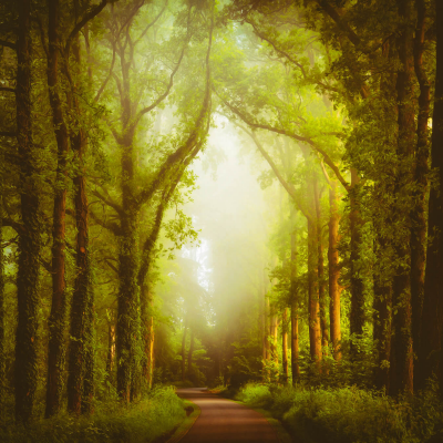 其他.哈苏大师获奖作品集.2016.Lars van de Goor.个人作品集.Roads_to_Roam的摄影作品-Lars van de Goor_摄影师陈阳 3