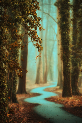 其他.哈苏大师获奖作品集.2016.Lars van de Goor.个人作品集.Roads_to_Roam的摄影作品-Lars van de Goor_摄影师陈阳 5