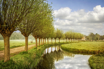 其他.哈苏大师获奖作品集.2016.Lars van de Goor.个人作品集.Spring的摄影作品-Lars van de Goor_摄影师陈阳 9
