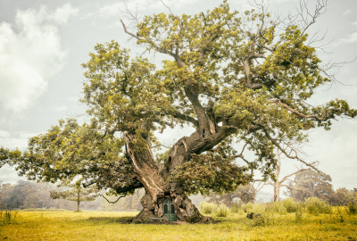 其他.哈苏大师获奖作品集.2016.Lars van de Goor.个人作品集.With_Elven_Eyes的摄影作品-Lars van de Goor_摄影师陈阳 4
