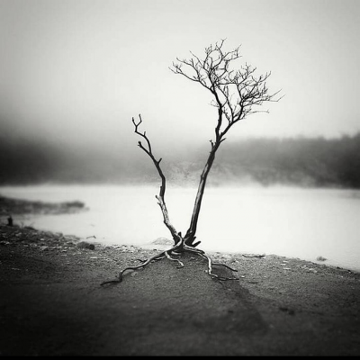 其他.哈苏大师获奖作品集.2021.专家评审团.Hengki Koentjoro 亨基·科恩佐罗.个人项目的摄影作品-摄影大师作品集 31