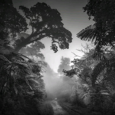 其他.哈苏大师获奖作品集.2021.专家评审团.Hengki Koentjoro 亨基·科恩佐罗.个人项目的摄影作品-摄影大师作品集 45