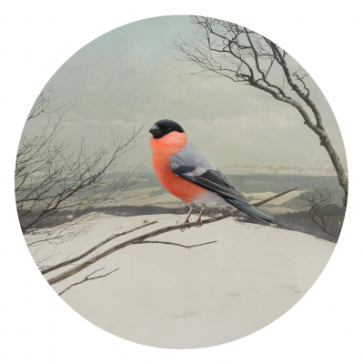 其他.哈苏大师获奖作品集.2021.专家评审团.Katerina Belkina.Seasons,_2015_–_2017的摄影作品-katerinabelkina-katerina-belkina-zima-2017