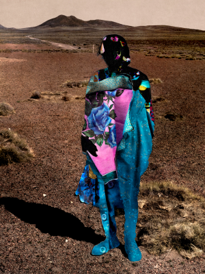 其他.哈苏大师获奖作品集.2021.专家评审团.Nina Gorfer.个人项目.图片.I_Know_Not_These_My_Hands_2011–2017_—_Cooper_Gorfer的摄影作品-ARG+GraphicOfDonaClorinda_a5
