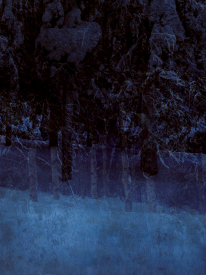 其他.哈苏大师获奖作品集.2021.专家评审团.Nina Gorfer.个人项目.图片.Interruptions_2015–2016_—_Cooper_Gorfer的摄影作品-Sami_TheBlueForest_02_a5