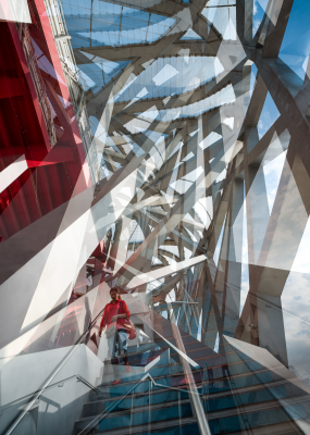 其他.哈苏大师获奖作品集.2021.专家评审团.Swee Oh.个人项目.中国建筑幻灯片_的摄影作品-Oh_Tangled+Beijing+National+Stadium
