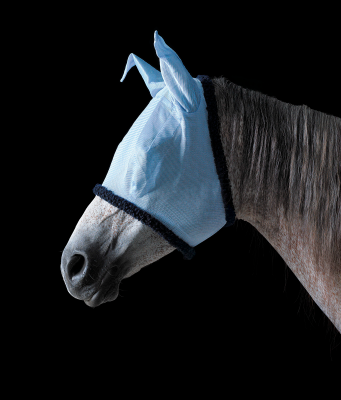 其他.哈苏大师获奖作品集.2021.专家评审团.Tim Flach.个人项目.Equus的摄影作品-Wildest-Dreams-1364x1600