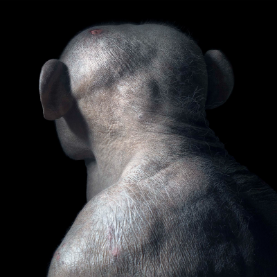 其他.哈苏大师获奖作品集.2021.专家评审团.Tim Flach.个人项目.More_Than_Human的摄影作品-AP-Jumpo-1600x1600