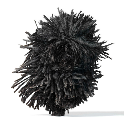 其他.哈苏大师获奖作品集.2021.专家评审团.Tim Flach.个人项目.狗神的摄影作品-black-puli-1600x1600