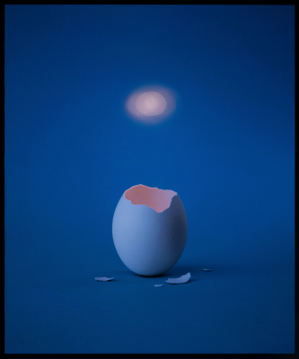 其他.哈苏大师获奖作品集.2021.历史传承.Marcus Møller Bitsch.个人项目.30_天未经整理的想法的摄影作品-1REphotographed-01-30-egg-_1