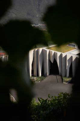 其他.哈苏大师获奖作品集.2021.建筑.Albrecht Voss.个人项目.Kurtatsch_酒庄_-_Albrecht_Voss_广告摄影的摄影作品-200827_AVL_Kellerei_Kurtatsch_Architekturfotograf_Alpen_2586-scaled
