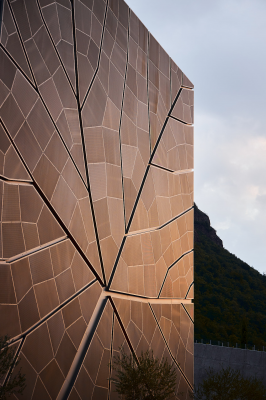 其他.哈苏大师获奖作品集.2021.建筑.Albrecht Voss.个人项目.Winery_Bozen_-_Albrecht_Voss_广告摄影的摄影作品-200828_AVL_Kellerei_Bozen_Architekturfotograf_Alpen_2104