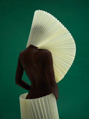 其他.哈苏大师获奖作品集.2021.艺术.Gavin Goodman.个人项目.美术的摄影作品-LUHLAZA 1