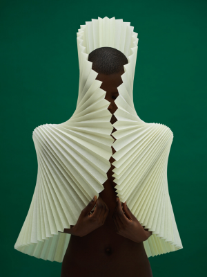 其他.哈苏大师获奖作品集.2021.艺术.Gavin Goodman.个人项目.美术的摄影作品-LUHLAZA