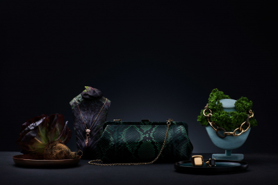 其他.哈苏大师获奖作品集.2021.艺术.Gavin Goodman.个人项目.静物的摄影作品-Still+life+studio+finals+-1
