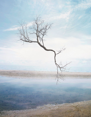 其他.哈苏大师获奖作品集.2021.野生动物.Alice Zilberberg.个人项目.2008-2011的摄影作品-alice-zilberberg-summer-dream-artwork