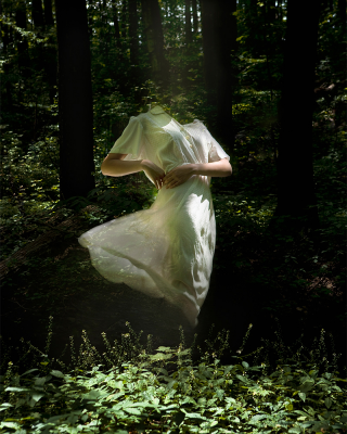 其他.哈苏大师获奖作品集.2021.野生动物.Alice Zilberberg.个人项目.消失的盖亚的摄影作品-alicezilberberg_01-6