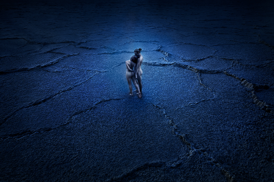 其他.哈苏大师获奖作品集.2021.野生动物.Alice Zilberberg.个人项目.绿洲的摄影作品-im-never-gonna-dance-again
