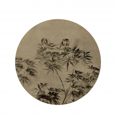 其他.哈苏大师获奖作品集.2021.风光自然.HONGHUA SHI的摄影作品-bTFXWUpMTGhpUDBOSWplcmo1M3NqNnowYmJ4ajVVYlFENTNOTlZuOVgyMFNnbUlrLy9NNzdRPT0