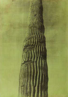 其他.韩国摄影师作品合集.Jungjin Lee.作品.American_Desert_II_—_Jungjin_Lee的摄影作品-10014