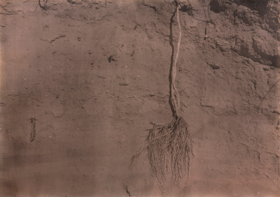 其他.韩国摄影师作品合集.Jungjin Lee.作品.American_Desert_II_—_Jungjin_Lee的摄影作品-10015