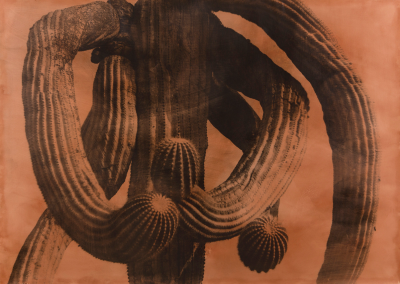 其他.韩国摄影师作品合集.Jungjin Lee.作品.American_Desert_II_—_Jungjin_Lee的摄影作品-10008