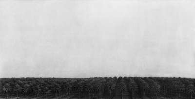 其他.韩国摄影师作品合集.Jungjin Lee.作品.Unnamed_Road_—_Jungjin_Lee的摄影作品-10004