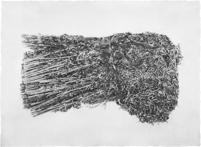 其他.韩国摄影师作品合集.Jungjin Lee.作品.东西——李正进的摄影作品-10009