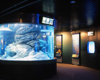 其他.韩国摄影师作品合集.Kim Shinwook.AQUARIUM_2006_–_SHINWOOKKIM的摄影作品-10001