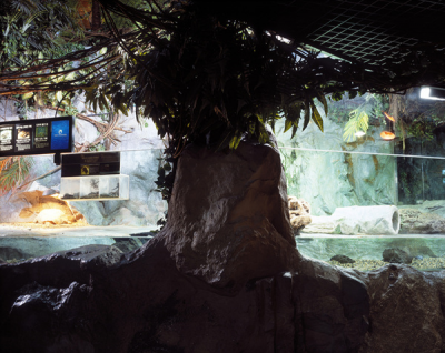 其他.韩国摄影师作品合集.Kim Shinwook.AQUARIUM_2006_–_SHINWOOKKIM的摄影作品-10002